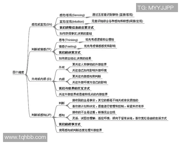 上海排球队的默契配合与战术解析全面揭秘排球运动的魅力与团队精神